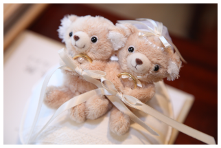 齊藤ご夫妻ウェルカムドール